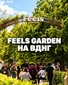 Open-air пространство Feels Garden Киев