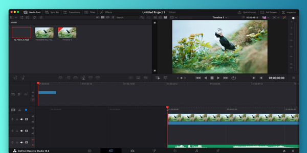 Програма для монтажу відео DaVinci Resolve