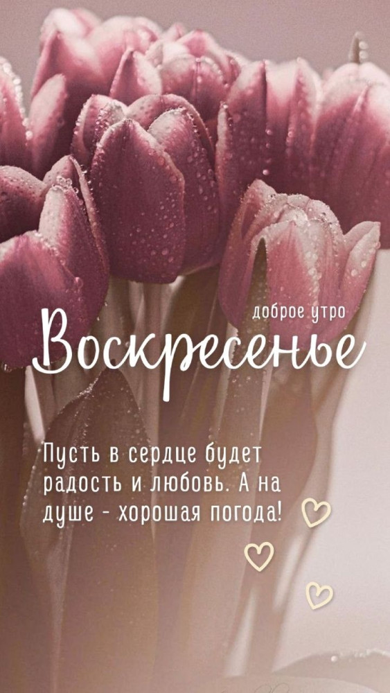 С добрым воскресным утром