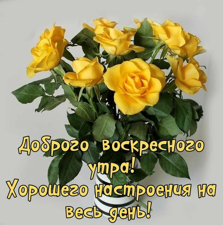 С добрым воскресным утром