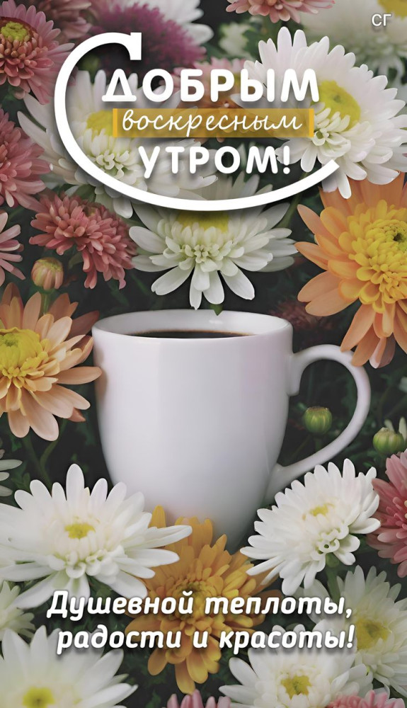 С добрым воскресным утром
