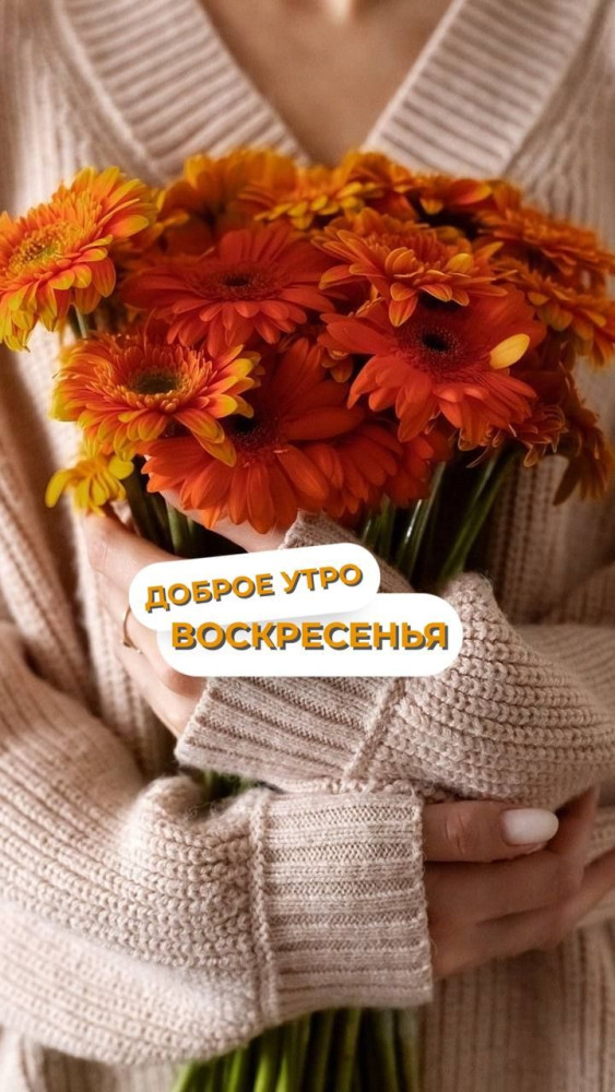 С добрым воскресным утром