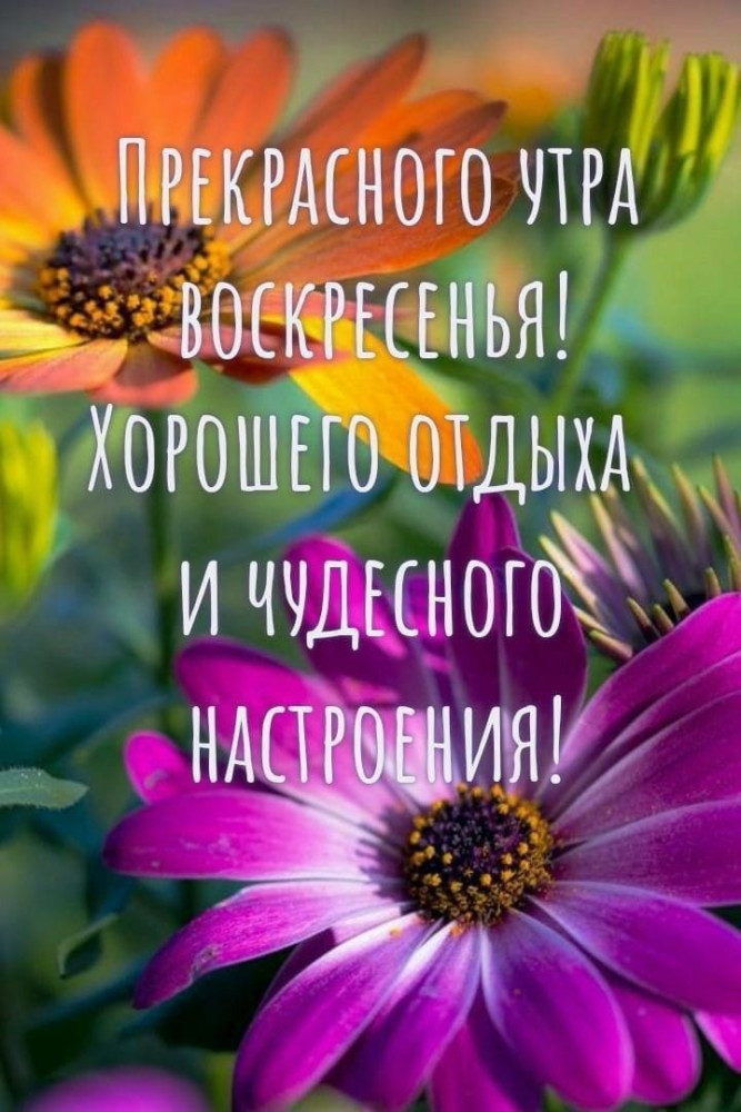 С добрым воскресным утром