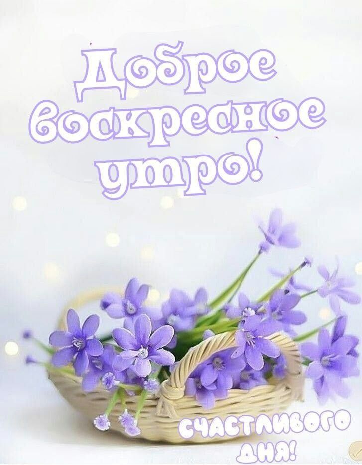 С добрым воскресным утром