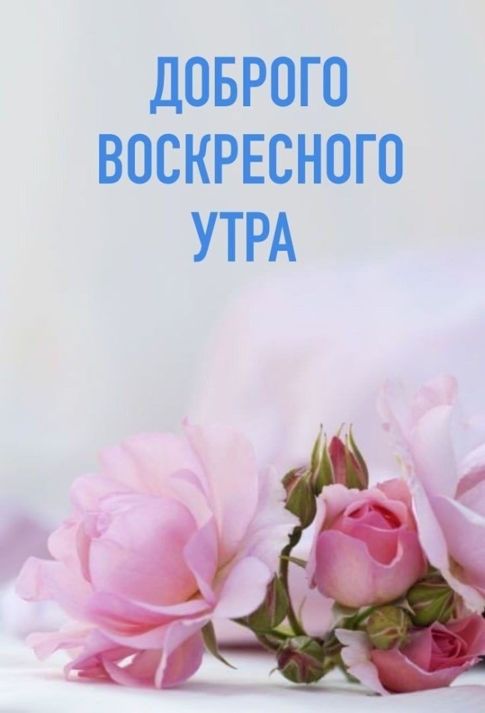С добрым воскресным утром