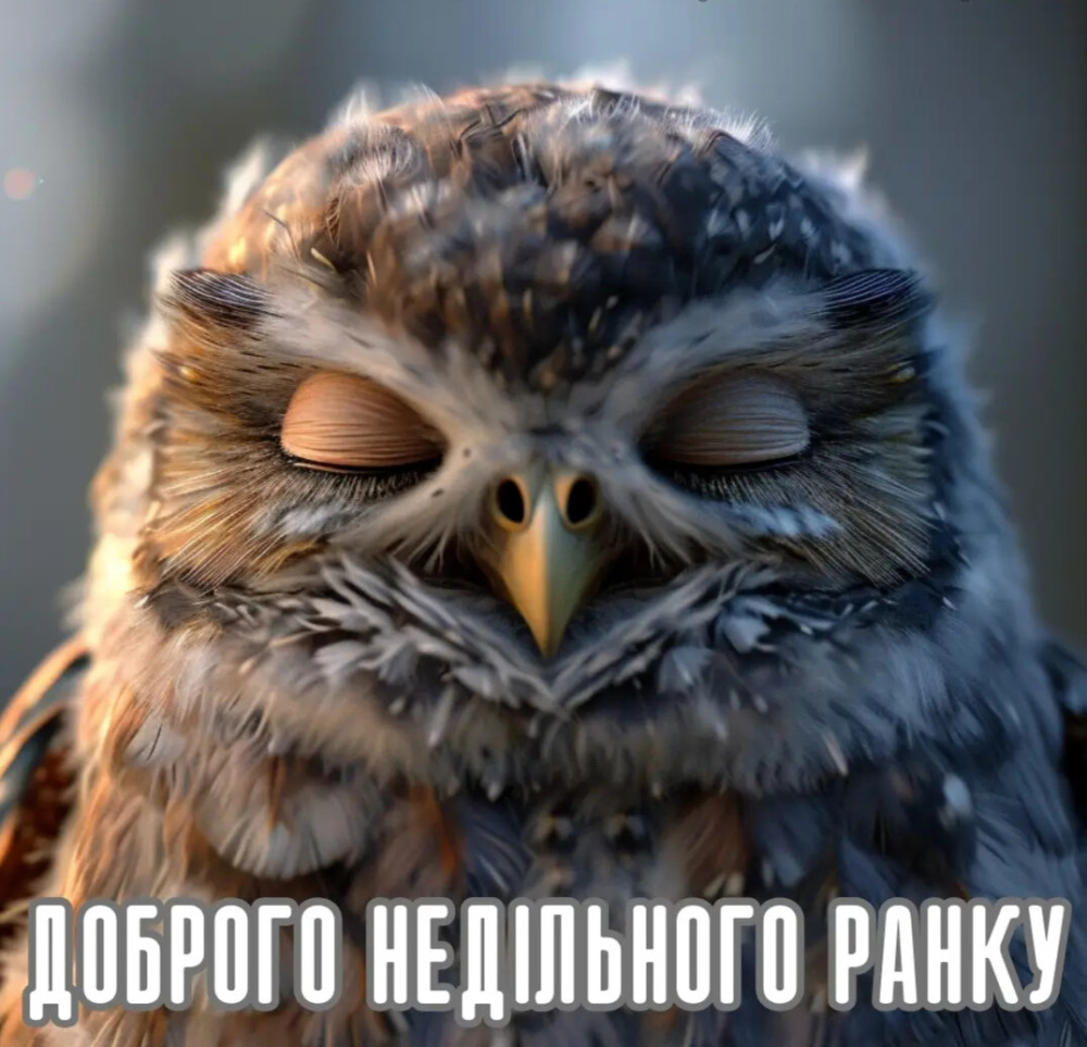 З доброго недільного ранку