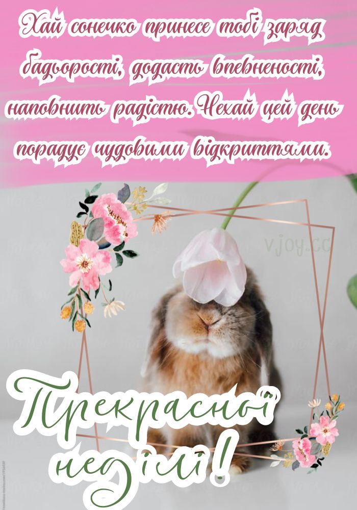 З доброго недільного ранку