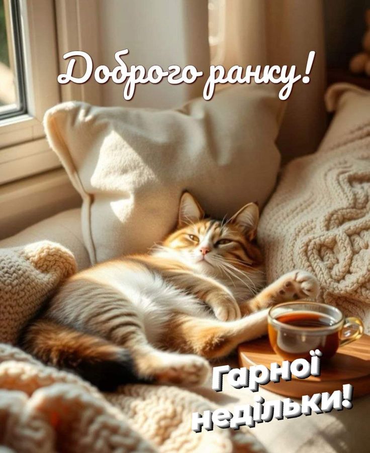 З доброго недільного ранку